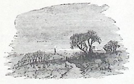 image004