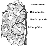Fig. 31.