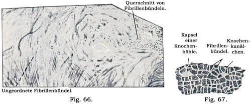 Fig. 66.