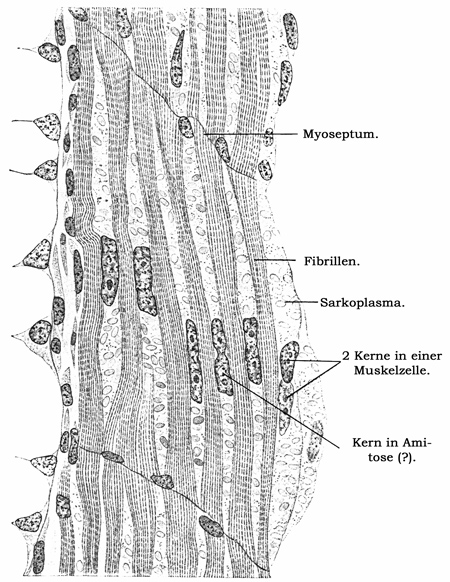 Fig. 77.