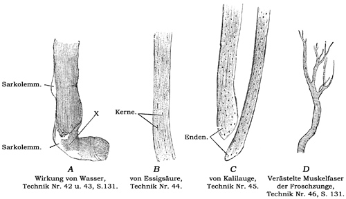 Fig. 78.