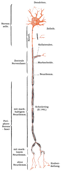 Fig. 83.