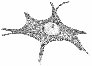 Fig. 86.