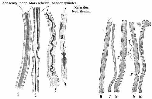 Fig. 96.