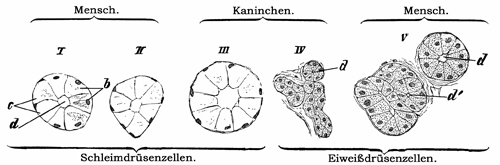 Fig. 195.