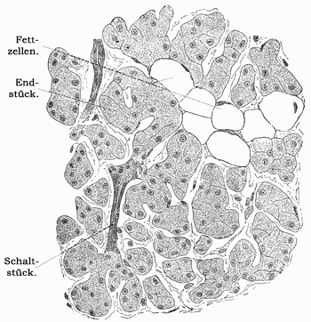 Fig. 199.