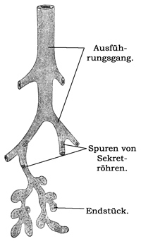 Fig. 200.
