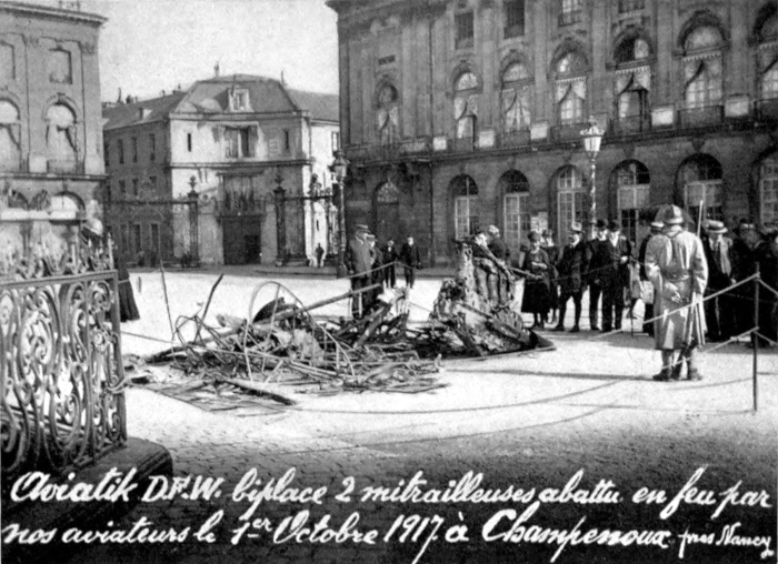 taube