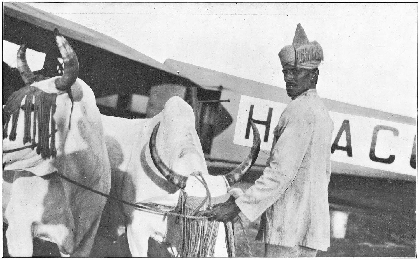 Afb. 62. Allahabad; de buffels, die onze benzine brachten.