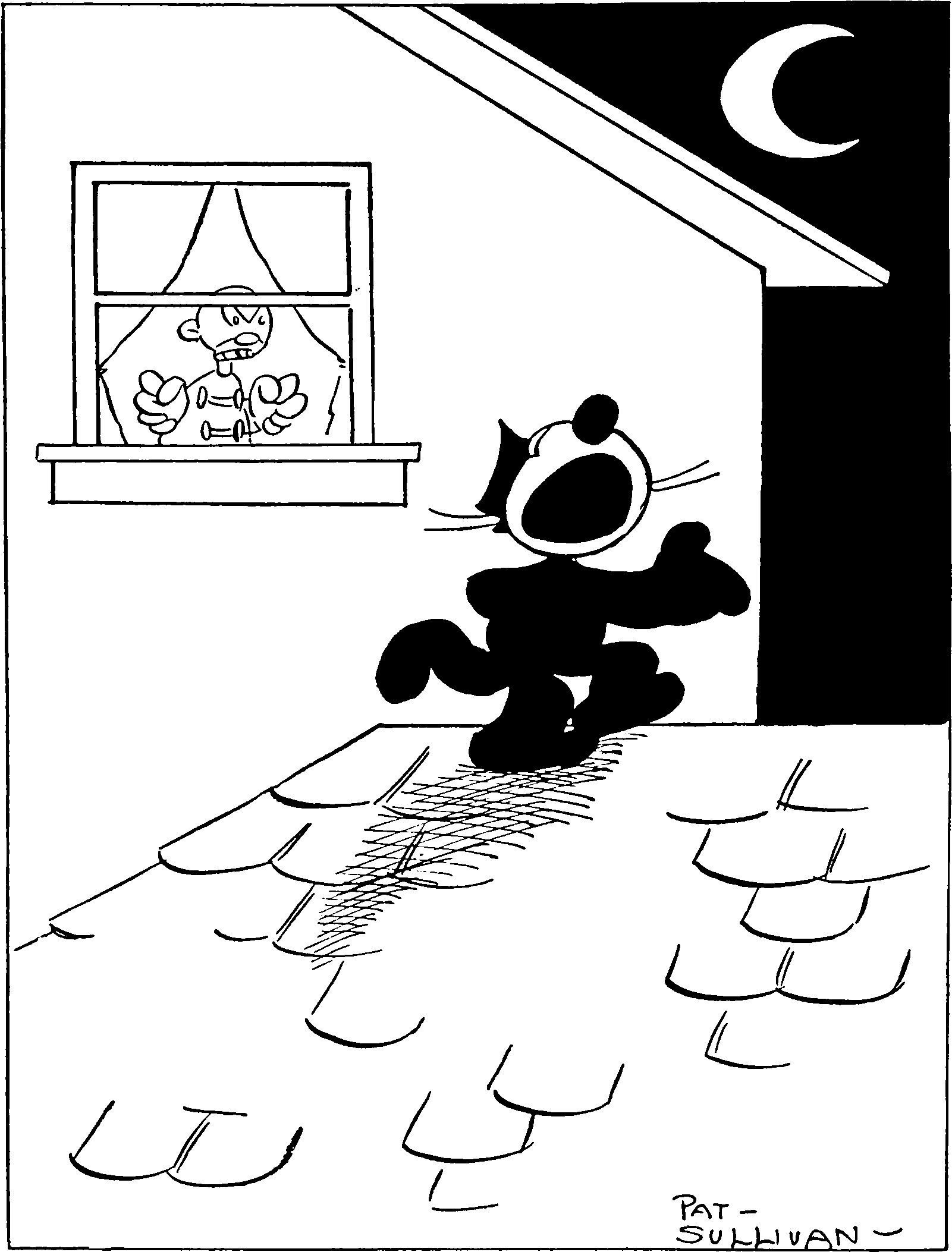 A cat on a roof caterwauling