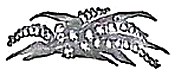 image016