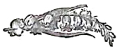 image026