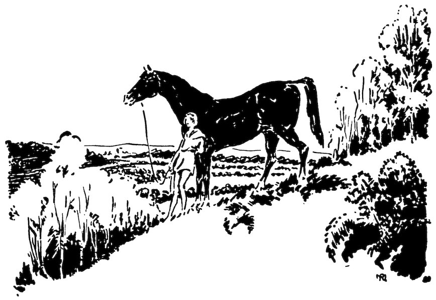 Black and white illustration of a person standing beside a dark horse in an outdoor landscape with trees.