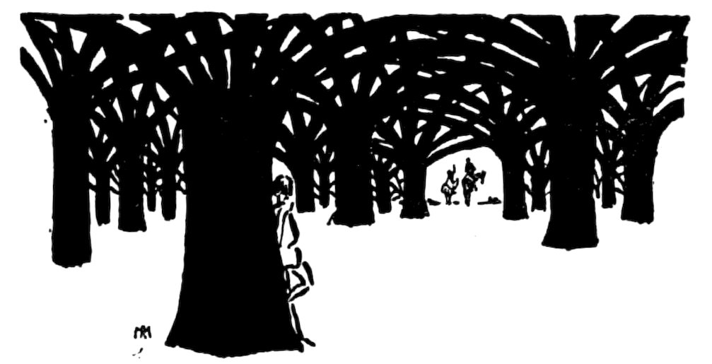 Black and white illustration of a person hiding behind a large tree in a dense forest, with figures visible in the distance.