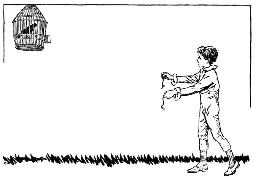 Black and white illustration of a boy holding out a string or worm toward a bird in a hanging cage.