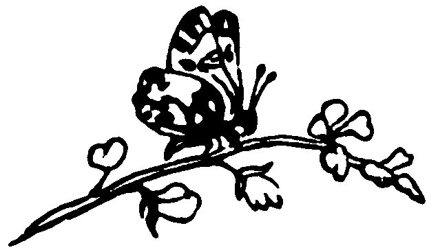 Butterfly perched on a flowering branch.