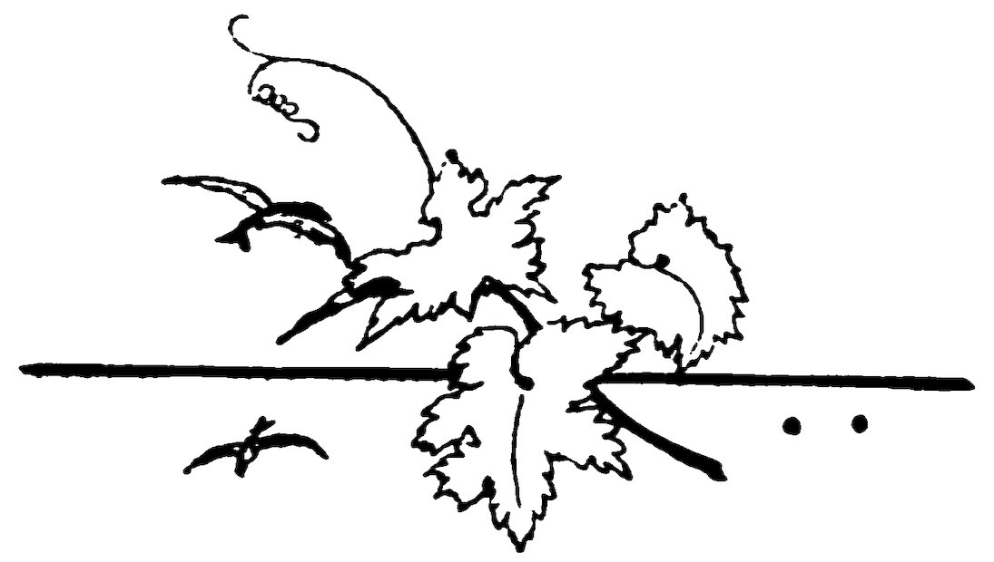 Vine leaves and birds above and below a line.