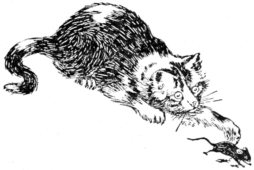 Cat playing with mouse