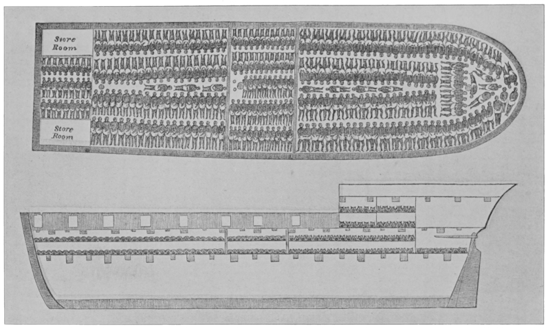 Section Showing Stowing of Slaves