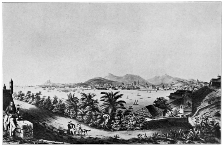 View of the City of Rio de Janeiro