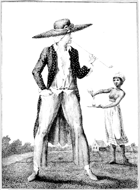 A Dutch Planter