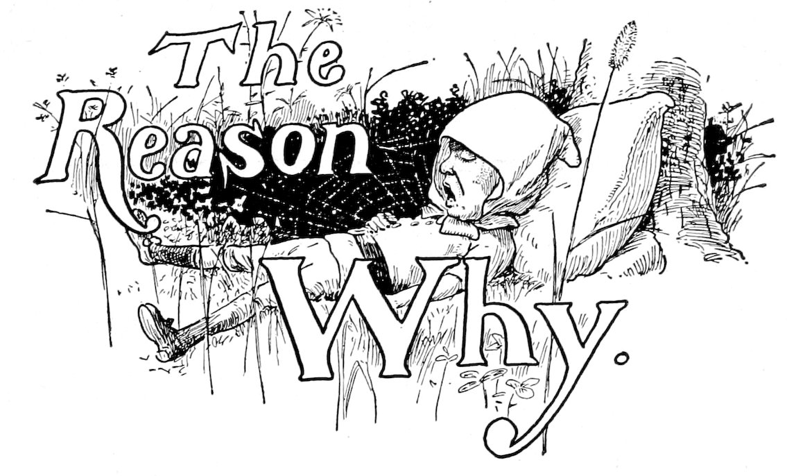 The Reason Why.