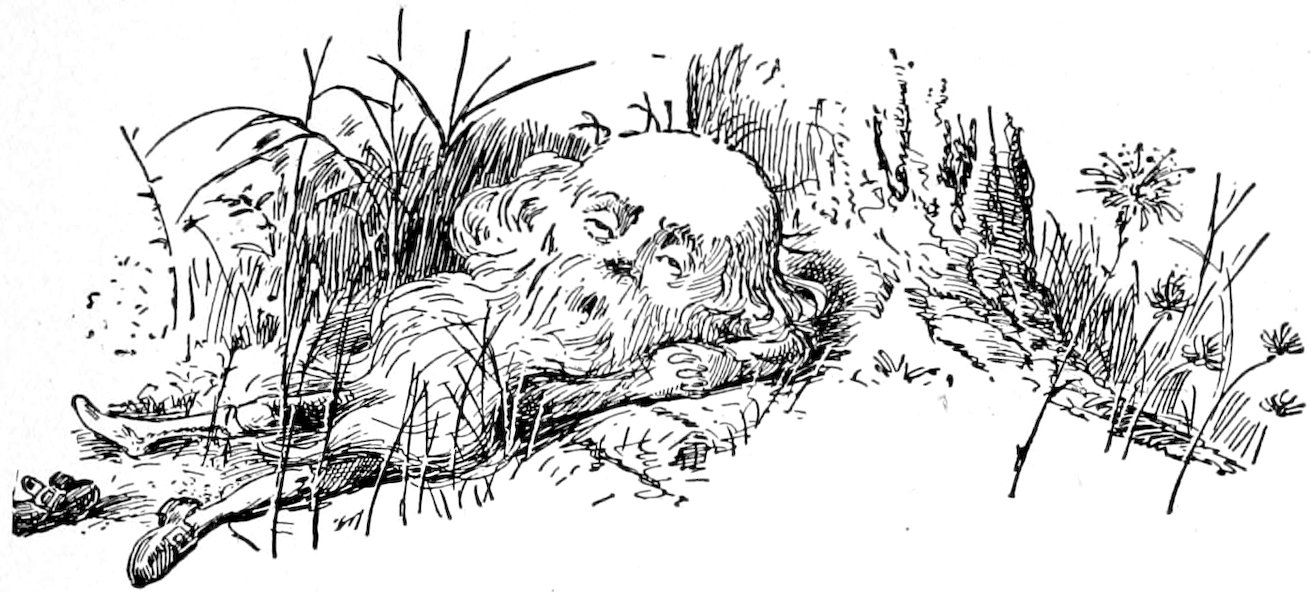 An elderly, bearded man lying down and resting among tall grass and weeds.
