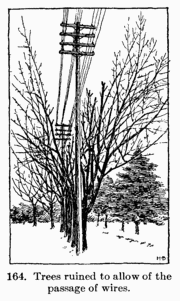 [Illustration: Fig. 164. Trees ruined to allow of the passage of wires.]