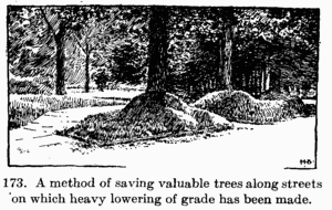 [Illustration: Fig. 173. A method of saving valuable trees along streets on which heavy lowering of grade has been made.]