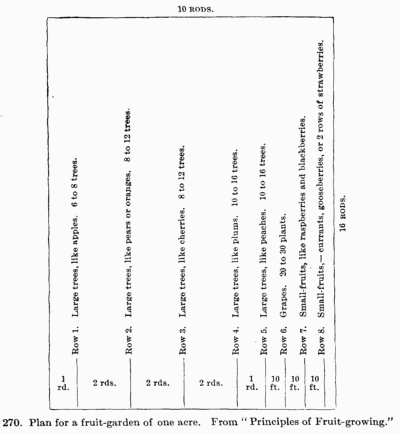 [Illustration: Fig. 270. Plan for a fruit-garden of one acre. From “Principles of Fruit-growing.”]