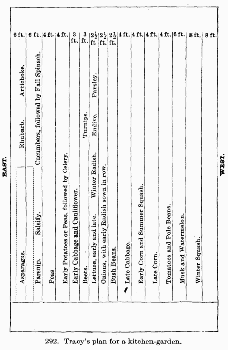 [Illustration: Fig. 292. Tracy’s plan for a kitchen-garden.]