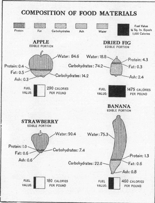 [Illustration: Composition of food materials]