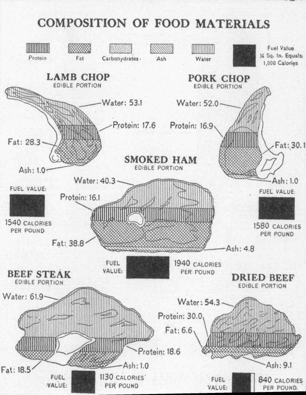 [Illustration: Composition of food materials]