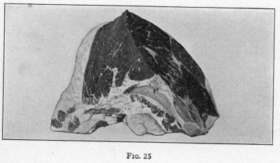 [Illustration: FIG. 25]