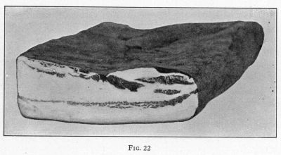 [Illustration: FIG. 22]