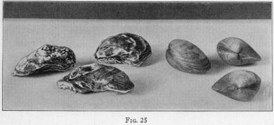 [Illustration: FIG. 25]