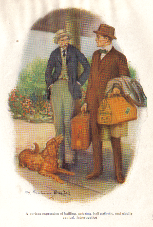 A curious expression of baffling quizzing half pathetic and wholly cynical interrogation