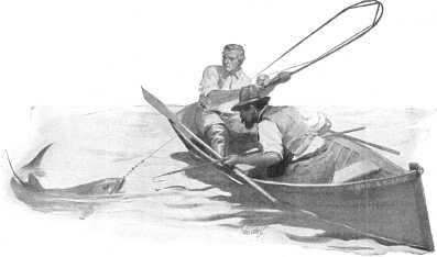 I don't really need a tarpon … but I need a burned
neck and a peeled nose