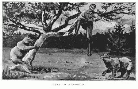 PURSUED BY THE GRIZZLIES.