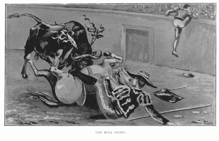 THE BULL FIGHT