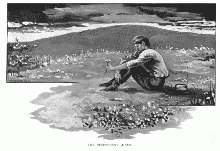 THE DESPONDENT MINER.