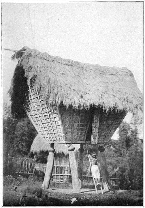 A rice granary
