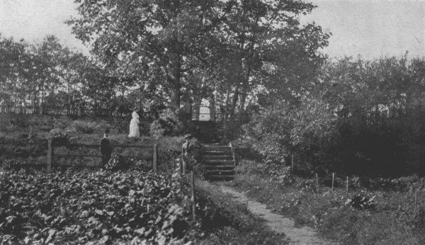 THE UPPER TERRACES OF MR. STOCKTON'S GARDEN AT
CLAYMONT.