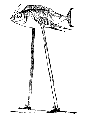 The Project Gutenberg eBook of Nonsense Books, by Edward Lear