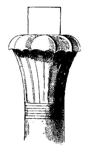 Fig 65.--Palm capital, Bubastis. 