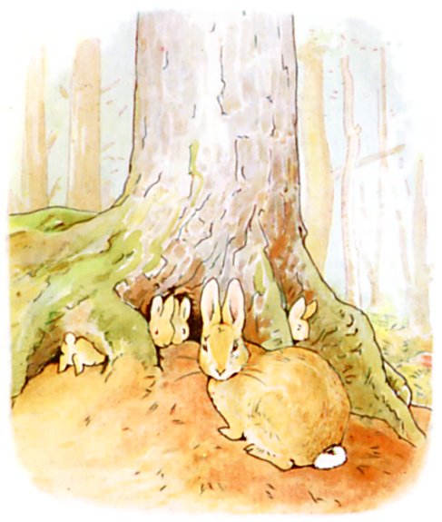 warmte Krachtcel Glad The Project Gutenberg eBook of The Tale of Peter Rabbit, by Beatrix Potter