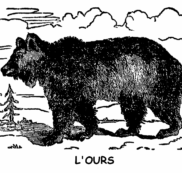 La voie des rois, une longue et belle route – L'ours inculte