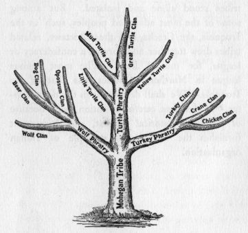 cartier family tree