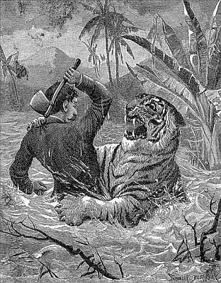 AFLOAT WITH A TIGER