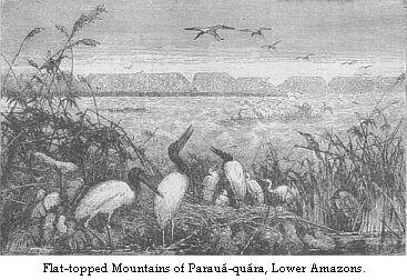 Flat-topped mountains of Paraua-quara, lower Amazons.